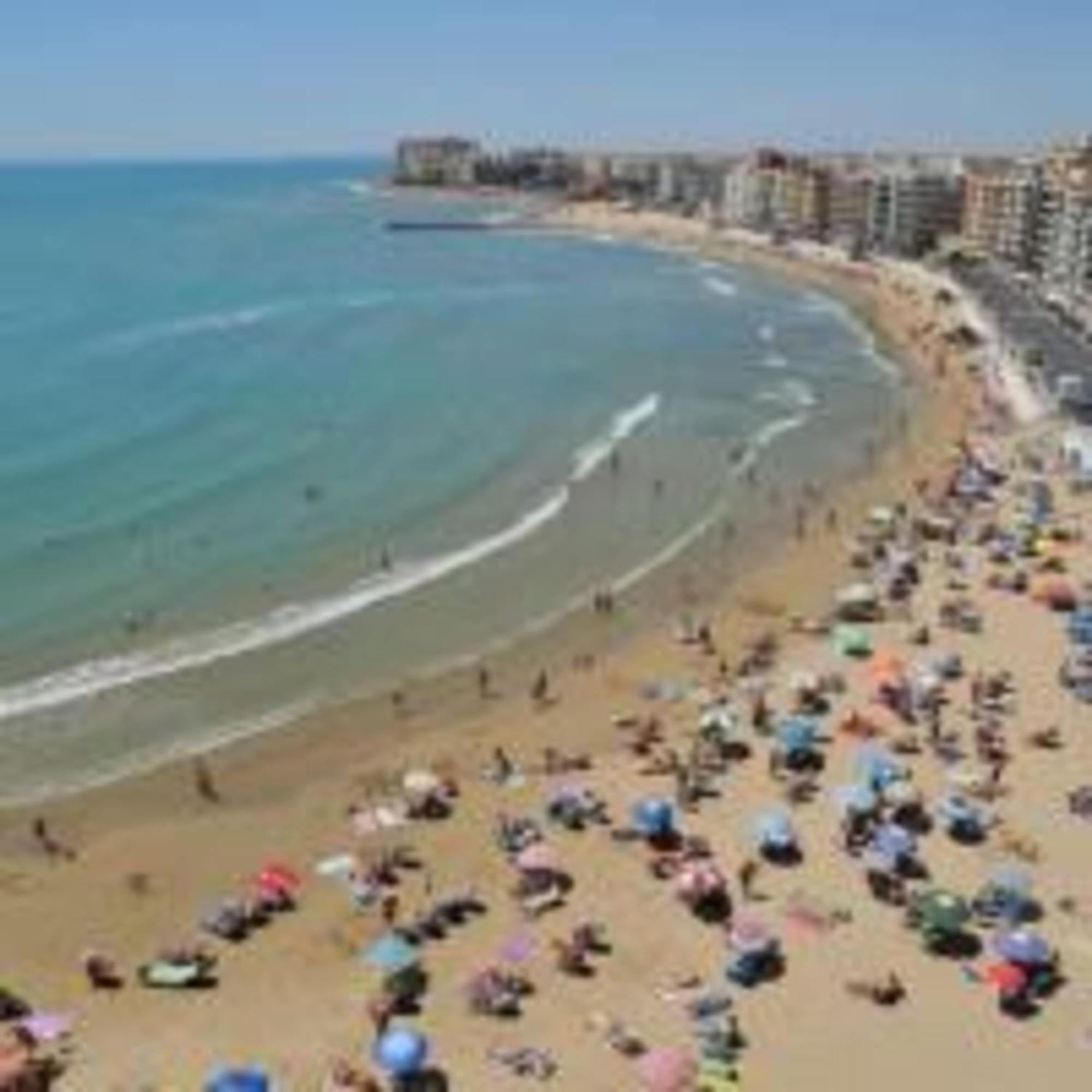 Pmt16 - Large City Apartment On The Beach Торевиеха Екстериор снимка